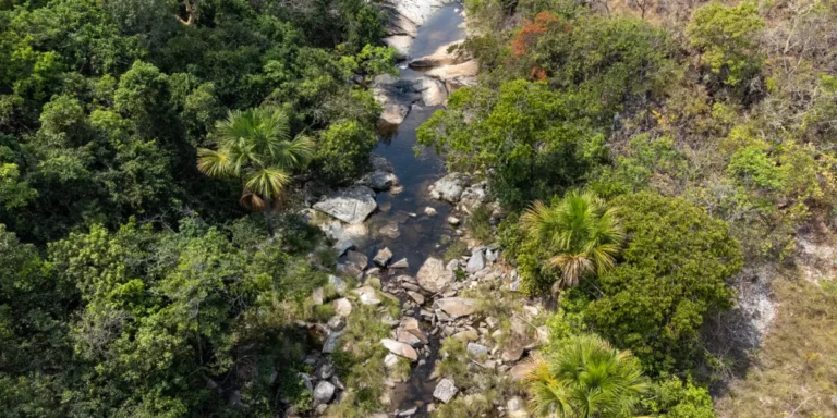 Goiânia, Anápolis e outras 18 cidades goianas farão adaptação às mudanças climáticas