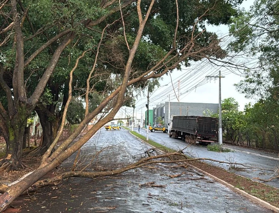 Equatorial Goiás reforça atuação preventiva diante do alerta de temporais em quase 160 municípios