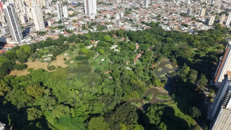 Goiânia conquista visitantes: 98,3% dos turistas recomendam a capital goiana como destino