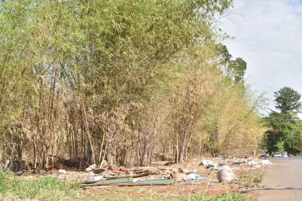 Prefeitura de Aparecida instala 70 novas câmeras de vigilância para combater descarte irregular de entulhos