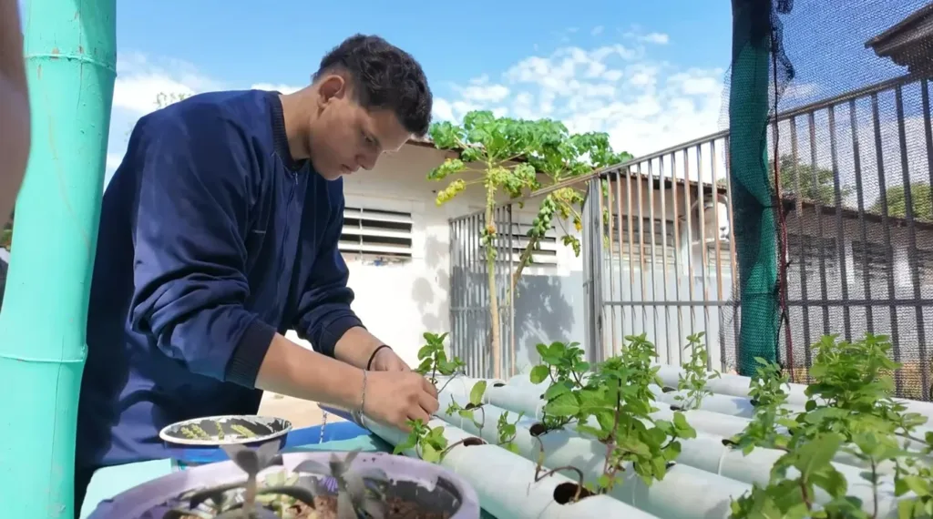 Peixes, plantas e energia solar transformam espaço de escola em laboratório