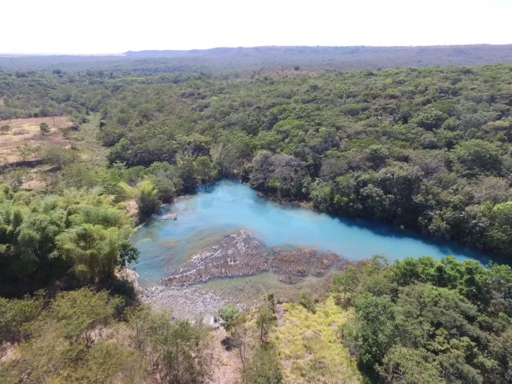 Escolas públicas de Goiás recebem livro sobre o Rio Araguaia e palestras gratuitas sobre o tema