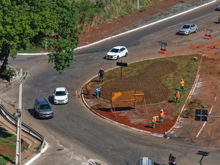 Em fase final de obras, Comurg inicia plantio ornamental na rotatória do Hugol